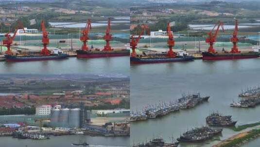 4K超清港口渔船海鲜生蚝山东乳山贸易高清在线视频素材下载