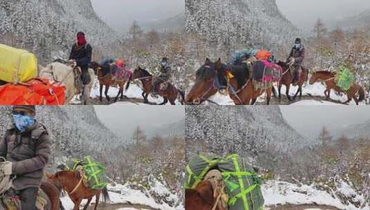 攀登岷山山脉都日峰的登山者运送物资的马帮高清在线视频素材下载