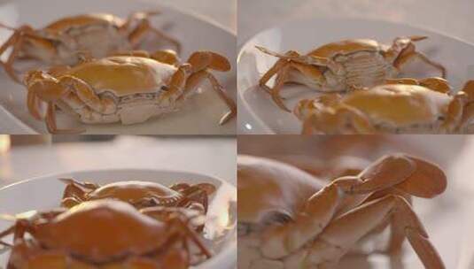 清蒸螃蟹取蟹黄取蟹肉掀开蟹壳河鲜生鲜海鲜高清在线视频素材下载