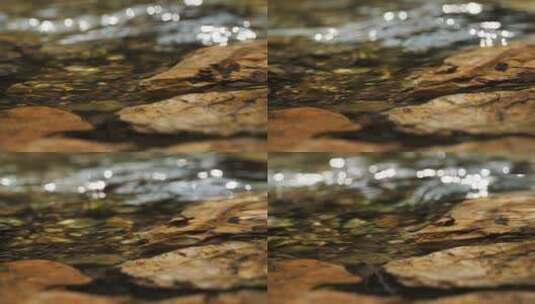 泉水小溪实拍镜头高清在线视频素材下载