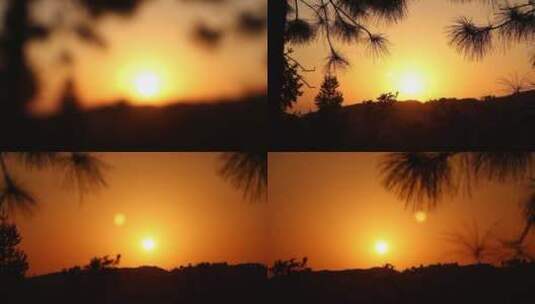 夕阳落日下的树木树枝剪影素材高清在线视频素材下载