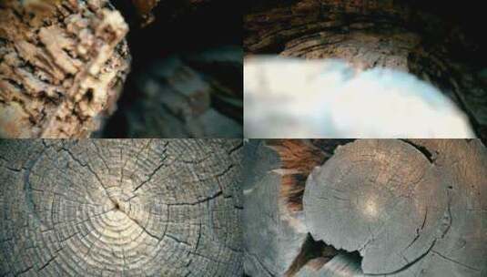 老树木材内部肌理年轮高清在线视频素材下载