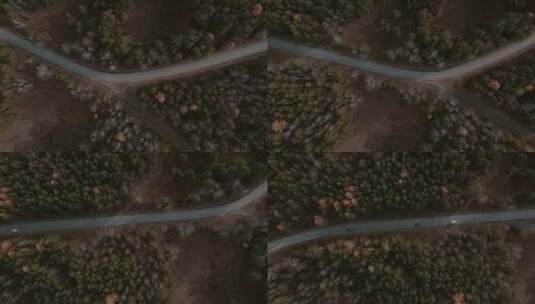 深绿色森林之间的汽车特写弯道高清在线视频素材下载