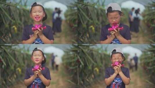 吃水果 火龙果 孩子笑脸 开心 农民笑脸高清在线视频素材下载