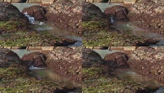海浪撞击着岩石高清在线视频素材下载
