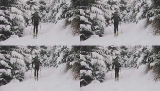 男子滑雪穿越白雪覆盖的森林高清在线视频素材下载