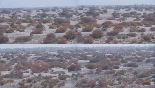 新疆沙漠的秋天景色高清在线视频素材下载