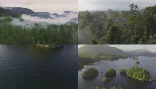 云南广西原始森林航拍程曦云雾缭绕高清在线视频素材下载
