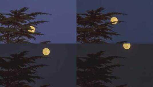 月亮 月生 月落 圆月 婉约 超级月亮高清在线视频素材下载
