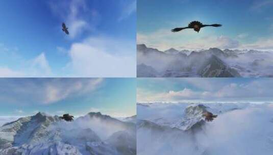 雄鹰飞翔在天空高清在线视频素材下载