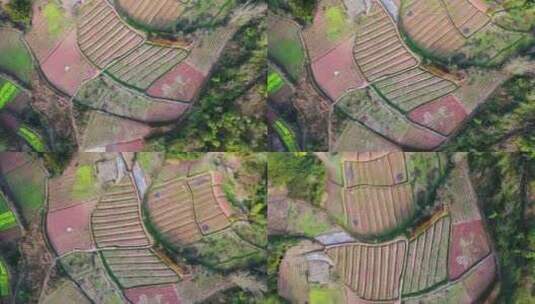 高空航拍农业农田高清在线视频素材下载