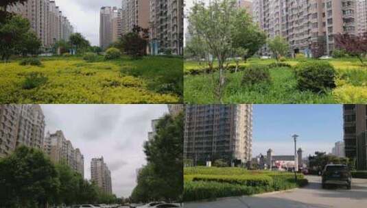 优美的城市小区环境-社区绿化-美好的生活高清在线视频素材下载