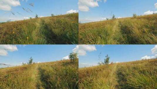 蓝天下野花点缀的美丽草地高清在线视频素材下载