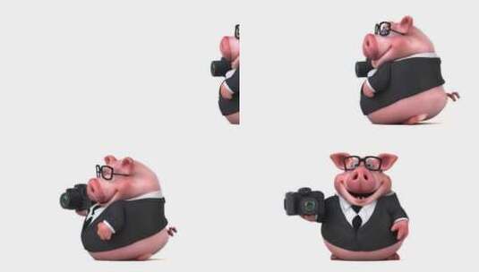 有趣的猪-3D动画高清在线视频素材下载