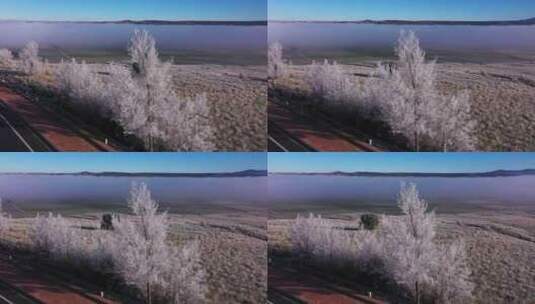 Lake， Tree，阿维拉，西班牙高清在线视频素材下载