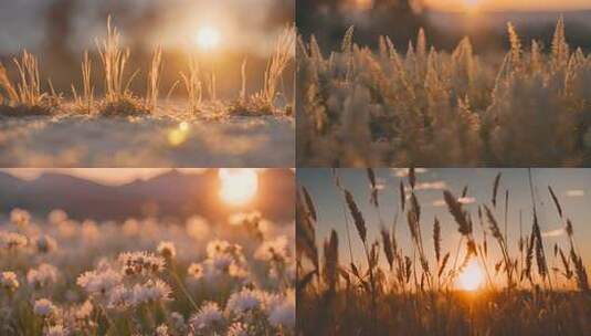 冬日温暖自然景观空镜素材影片高清在线视频素材下载