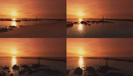 海滩日落与海鸥高清在线视频素材下载
