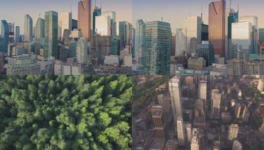 【合集】加拿大 城市 天气 空镜高清在线视频素材下载