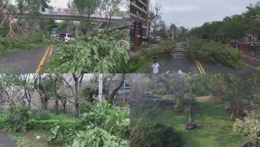 台风后的灾难画面高清在线视频素材下载