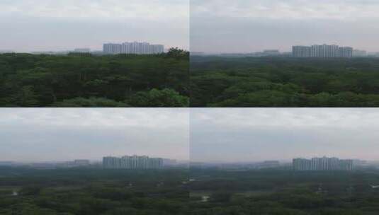 山东淄博城市清晨日出竖屏航拍高清在线视频素材下载
