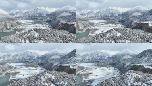 西藏昌都然乌湖，雪山，森林的航拍自然风光高清在线视频素材下载