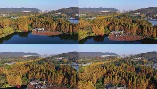 航拍深秋的杭州西湖美景高清在线视频素材下载