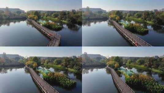 中国杭州阿里巴巴园区秋日美景高清在线视频素材下载