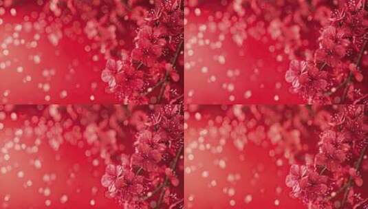 红色梅花背景高清在线视频素材下载