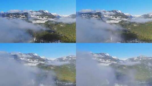 山坡上雾蒙蒙的绿树鸟瞰图高清在线视频素材下载