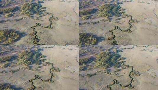 高山湿地哈乌尔河  九曲十八弯河流高清在线视频素材下载