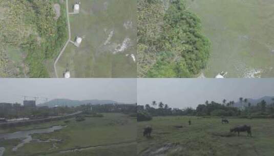 海南农村乡野绿地高清在线视频素材下载