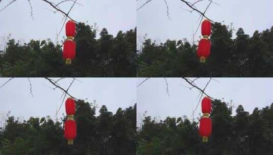 挂在树上的灯笼高清在线视频素材下载
