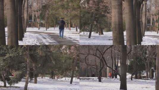 【镜头合集】冰天雪地冬季寒冷积雪冰冻高清在线视频素材下载