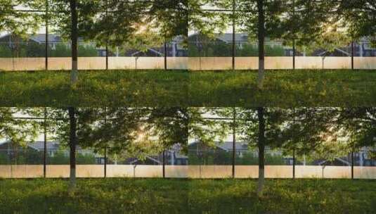 夕阳下的草坪黄色野花树林清新空气高清在线视频素材下载