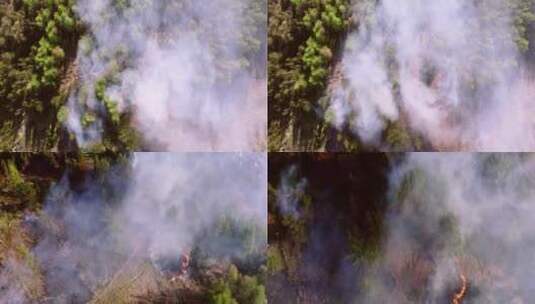 航拍森林火灾高清在线视频素材下载
