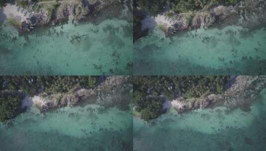 航拍俯瞰海岸沙滩 菲律宾薄荷岛ANDA BCH高清在线视频素材下载