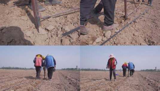 北方农民耕种高清在线视频素材下载