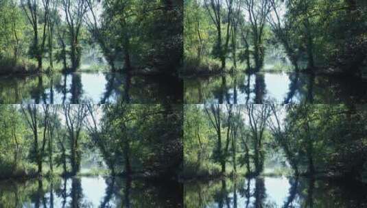 杭州西溪国家湿地公园高清在线视频素材下载