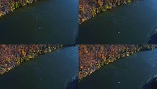 秋天森林河水航拍高清在线视频素材下载