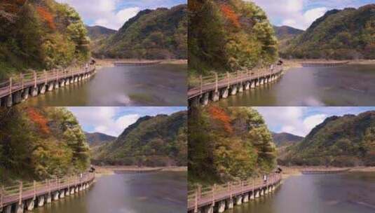 视觉震撼，这山林竹海惹了聚雨，清新夏日高清在线视频素材下载