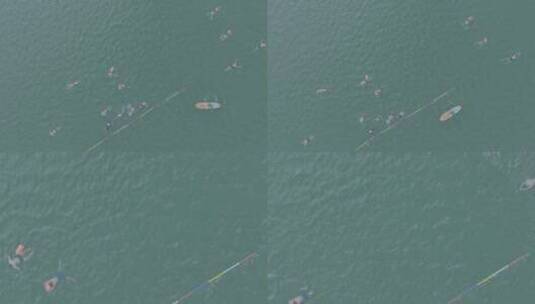 水上桨板救援队在清江·(6)高清在线视频素材下载