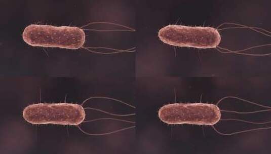医学病原体病毒病原体病菌细菌医学三维动画高清在线视频素材下载
