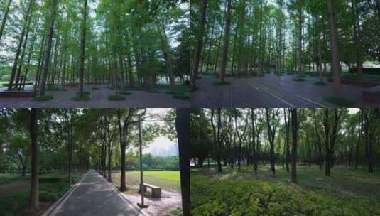 武汉青山和平公园风光4K视频合集高清在线视频素材下载