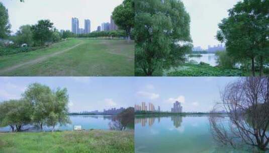 武汉汉阳墨水湖公园湿地公园4K视频合集高清在线视频素材下载