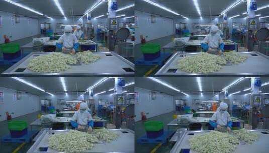 蔬菜加工 农产品加工 (95)高清在线视频素材下载