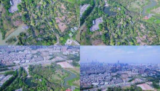 广州海珠国家湿地公园与摩天大楼建筑群航拍高清在线视频素材下载