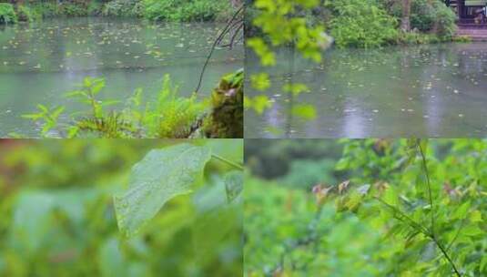 下雨天池塘高清在线视频素材下载