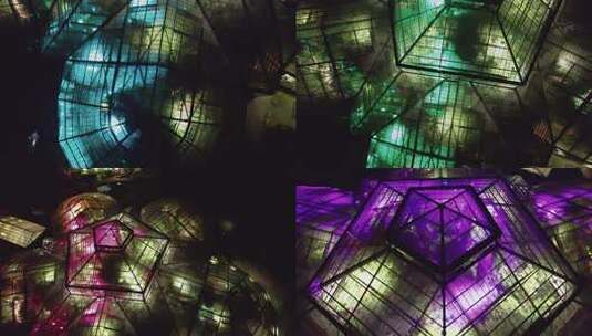 广州华南植物园唯美植物灯光夜景航拍4K视频高清在线视频素材下载
