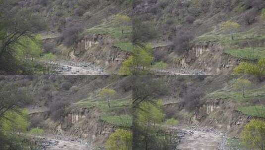 新疆伊犁吐尔根杏花大峡谷航拍高清在线视频素材下载