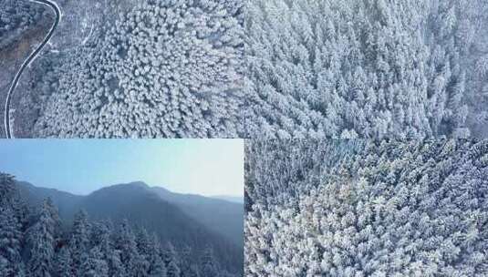 兴隆山国家森林公园雪景航拍~1高清在线视频素材下载
